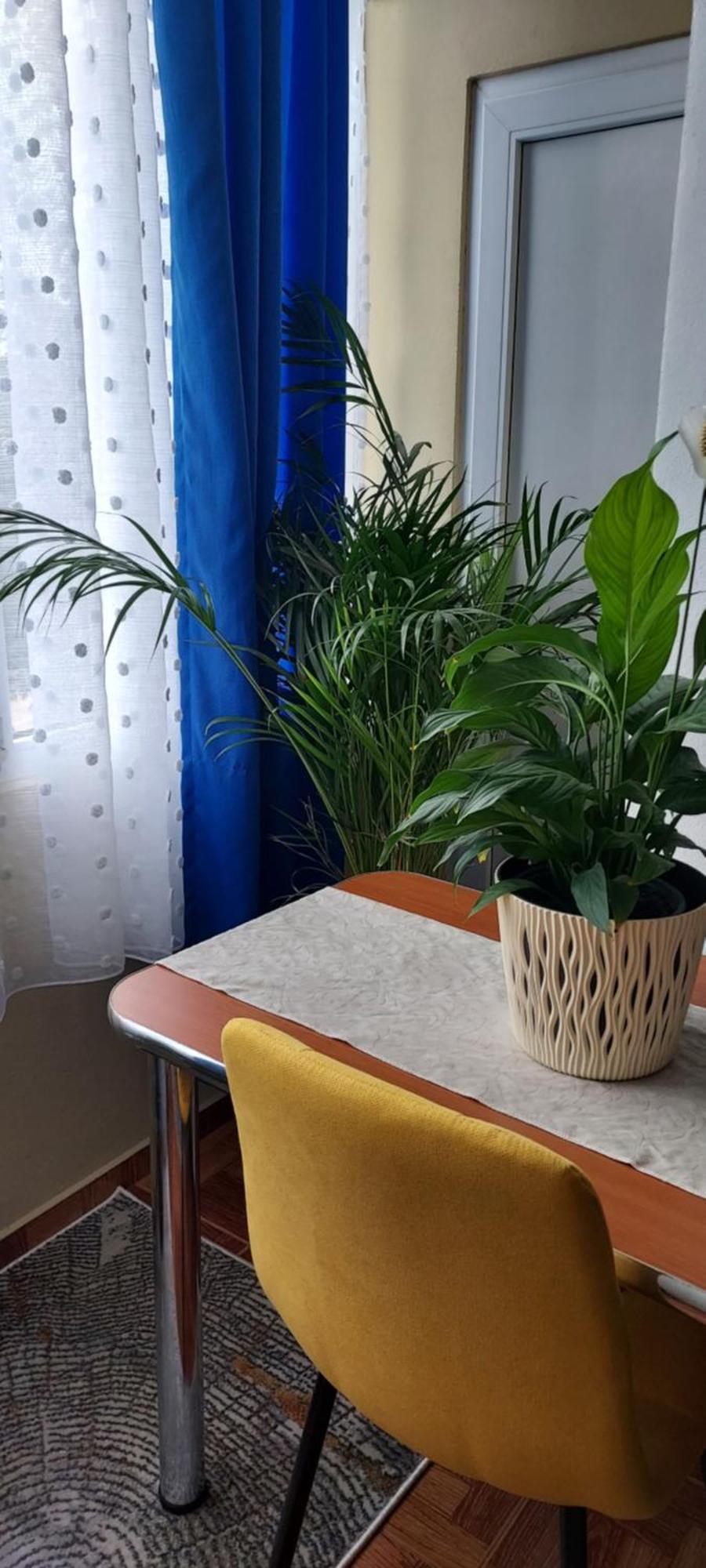 阿拉德Apartament Gara Mica公寓 外观 照片